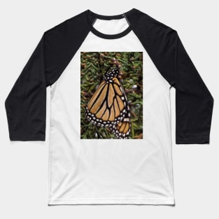 Monarch butterfly,  God's beautiful creation Baseball T-Shirt